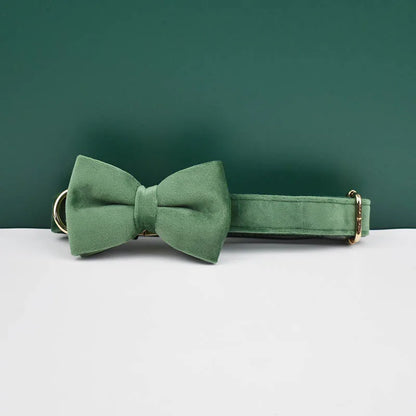 Velvet Envy Collection – Personalised Dog Collars in Elegant Green Tones Options (Personalised)