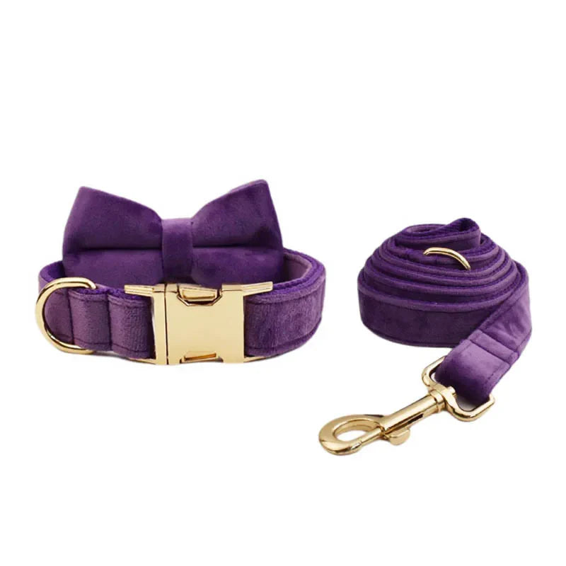 Luxury purple velvet dog collar and leash set with engravable nameplate.