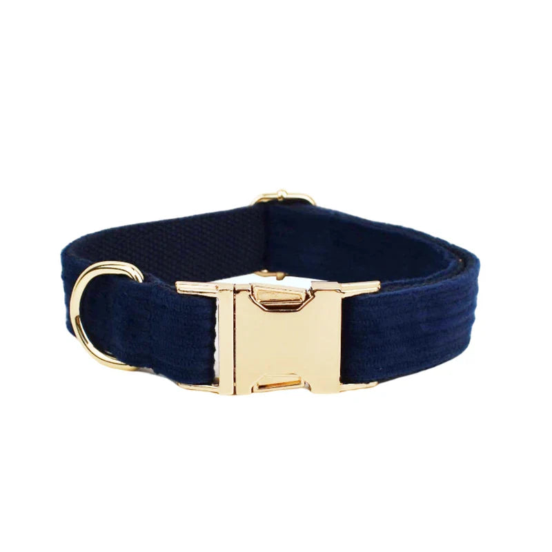 Midnight blue handmade corduroy dog collar with gold buckle.