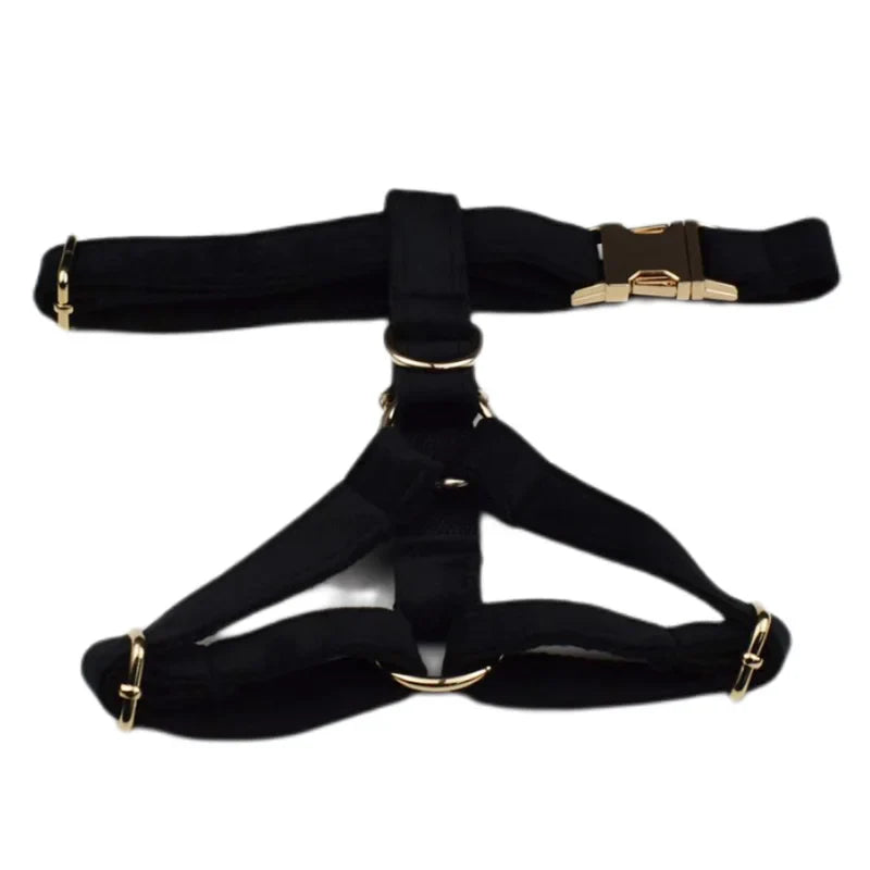 Black velvet dog harness from "Wedding Tails" collection with gold-tone hardware, designed for weddings.