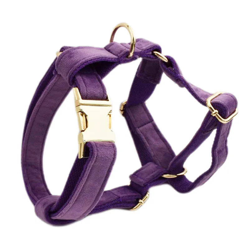 Luxury handmade purple velvet dog collar with engravable nameplate and quick release feature.
