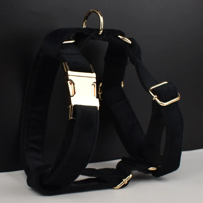 "Wedding Tails" black velvet dog harness with gold-tone hardware, elegant design, adjustable straps.