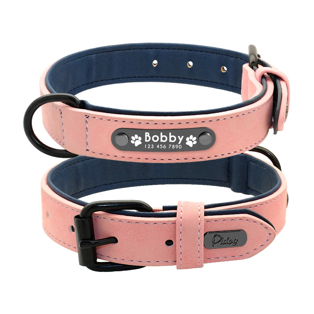 Faux Leather Dog Collar with Engraved Nameplate – Optional Lead