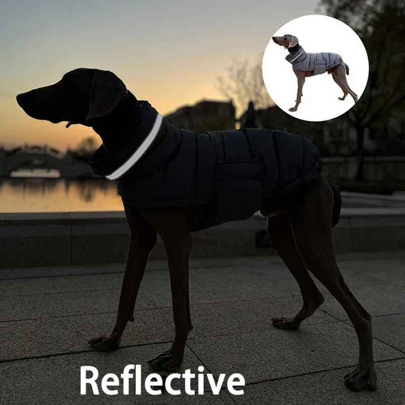 Waterproof dog coat with reflective detailing for nighttime visibility.