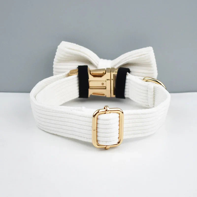 White corduroy dog collar with gold hardware and detachable bowtie.