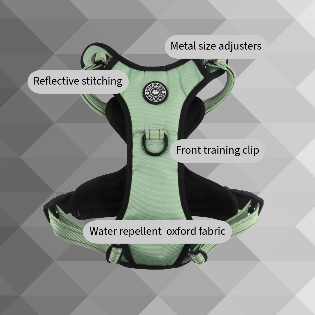 Snazzy Pooch Peppermint no-pull dog harness with reflective stitching, front training clip, and water-repellent Oxford fabric.