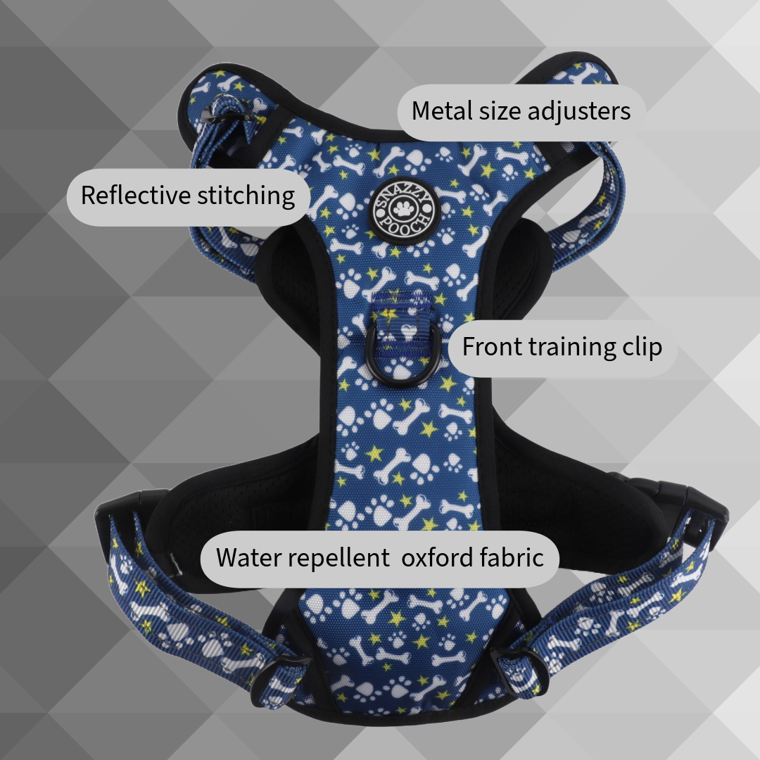 Snazzy Pooch no-pull active harness with reflective stitching and front training clip in paws and bones design.