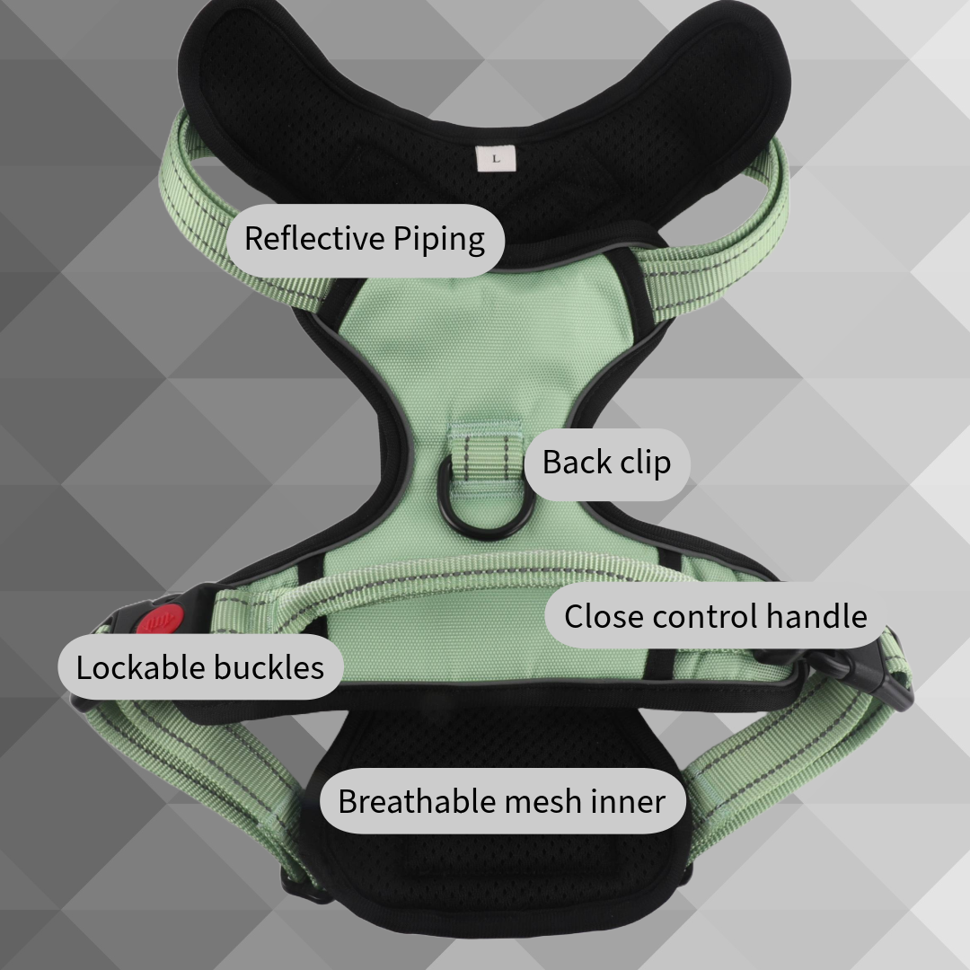 Snazzy Pooch Peppermint no-pull dog harness with reflective piping, lockable buckles, and breathable mesh inner.