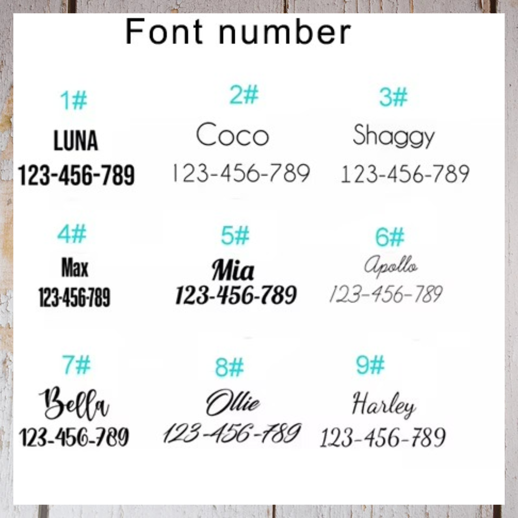  font options for engraving in luxury pet accessories.
