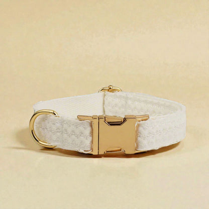 Personalised White lace dog collar with gold hardware on a beige background