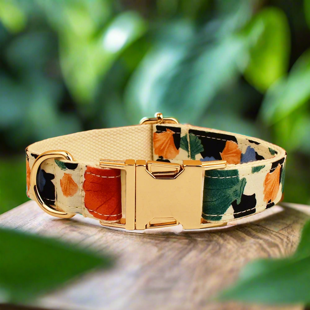 Petal Pop Dog Collar With Name