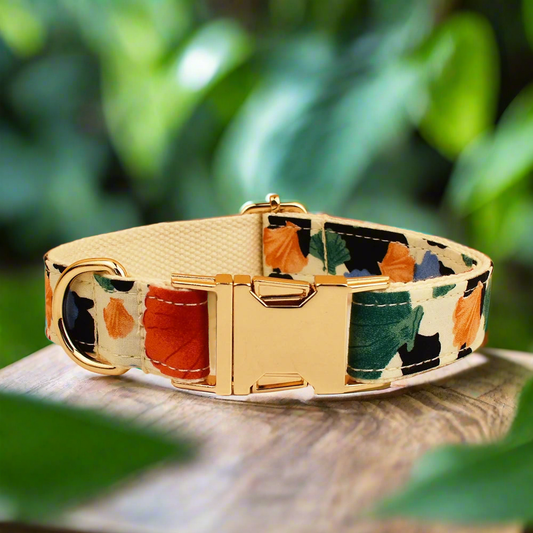 Petal Pop Dog Collar With Name