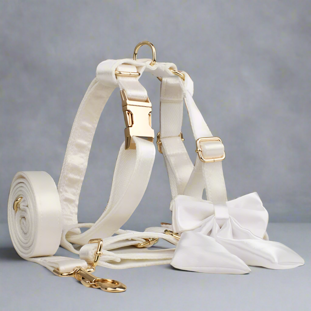 Ever After Ivory – Personalised Dog Wedding Set With Harness, Lead Collar & Bow