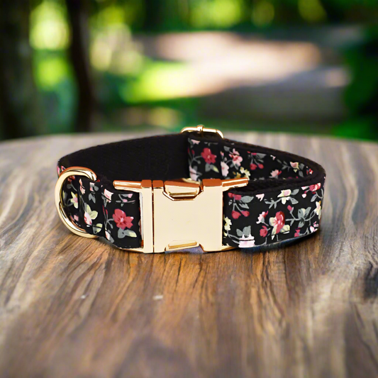 midnight bloom dog collar