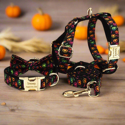 Pumpkin Glow 🎃 Premium Engraved 4-Piece Bundle or Individual Options  (XS–XL)
