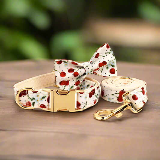 Cherry collar bow and lead