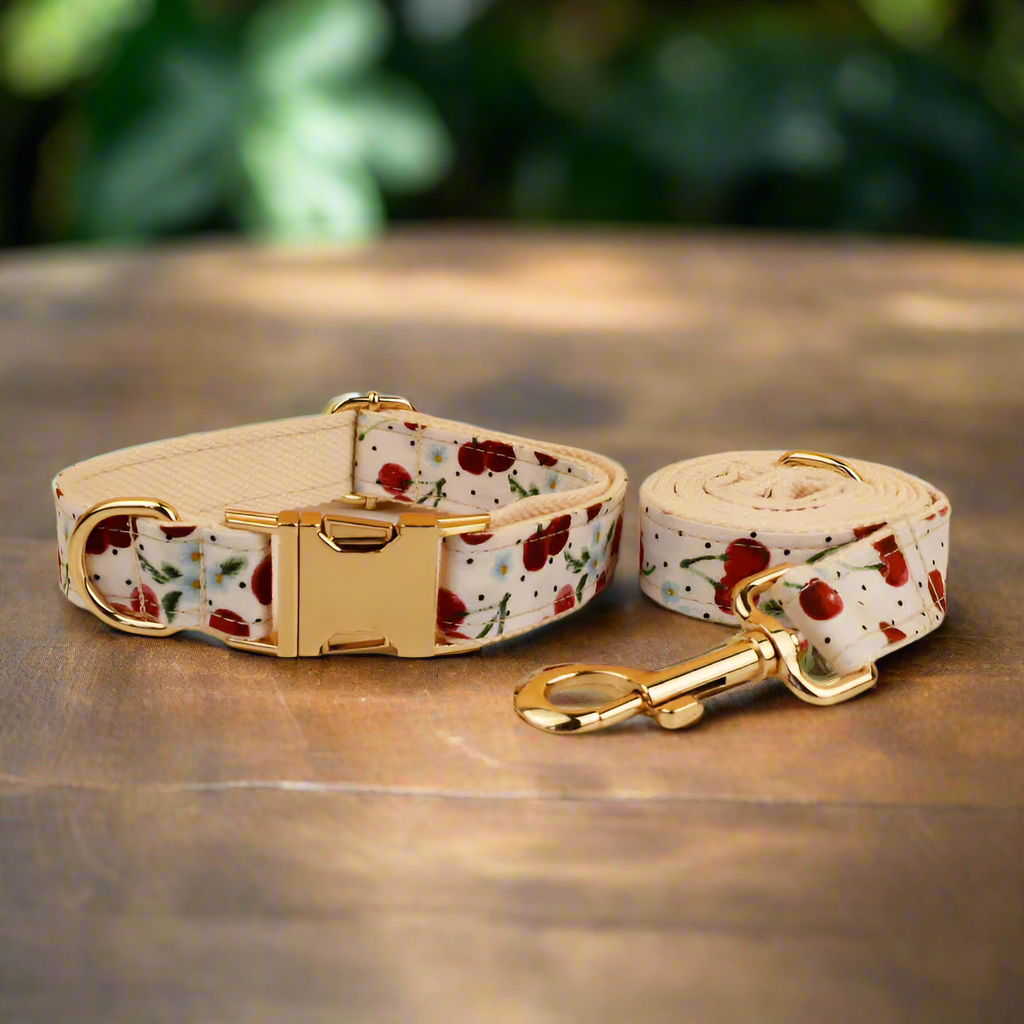 Cherry collar and lead