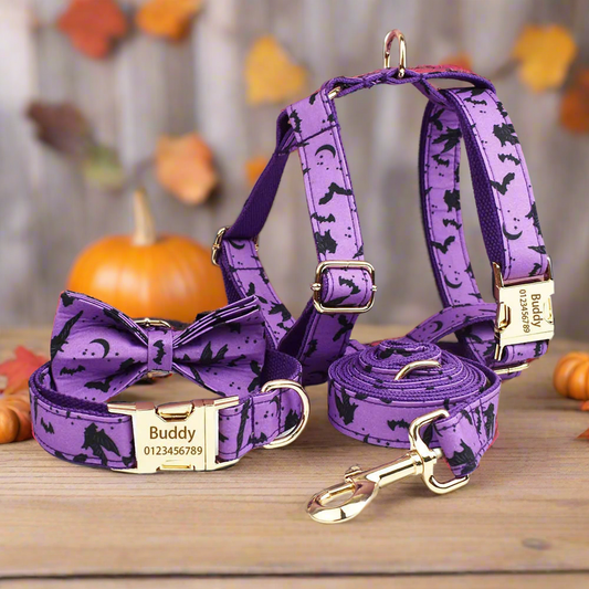 Vampire Nights Personalised Dog Collar & Harness Set – Halloween 4-Piece Pet Accessory with Engraved ID Tag, Lead & Bow Tie (XS–XL)
