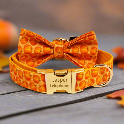 Pumpkin Patch Dog Collar & Harness Set – Premium Engraved 4-Piece Bundle or Individual Options  (XS–XL)
