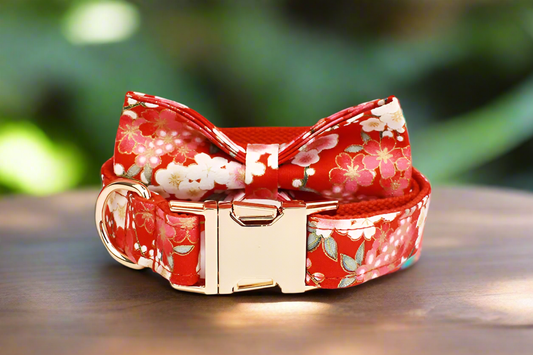 personalised dog collar with bow - cherry blossom