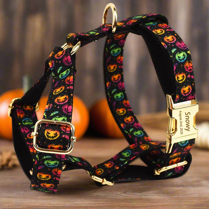 Pumpkin Glow 🎃 Premium Engraved 4-Piece Bundle or Individual Options  (XS–XL)