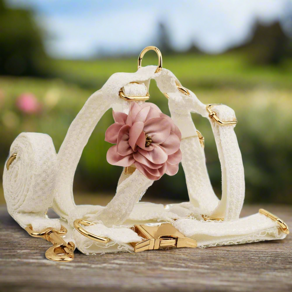 white lace wedding dog harness, collar, lead and detachable flower set