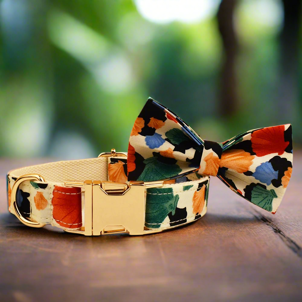 Petal Pop Dog Collar With Name - Matching Bow