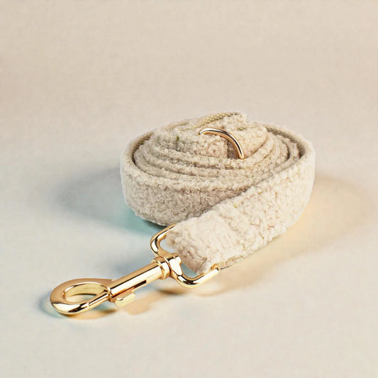 Beige dog lead with gold clasp on a light beige background