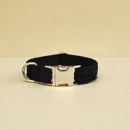 Black lace dog collar for weddings with a gold buckle on a beige background