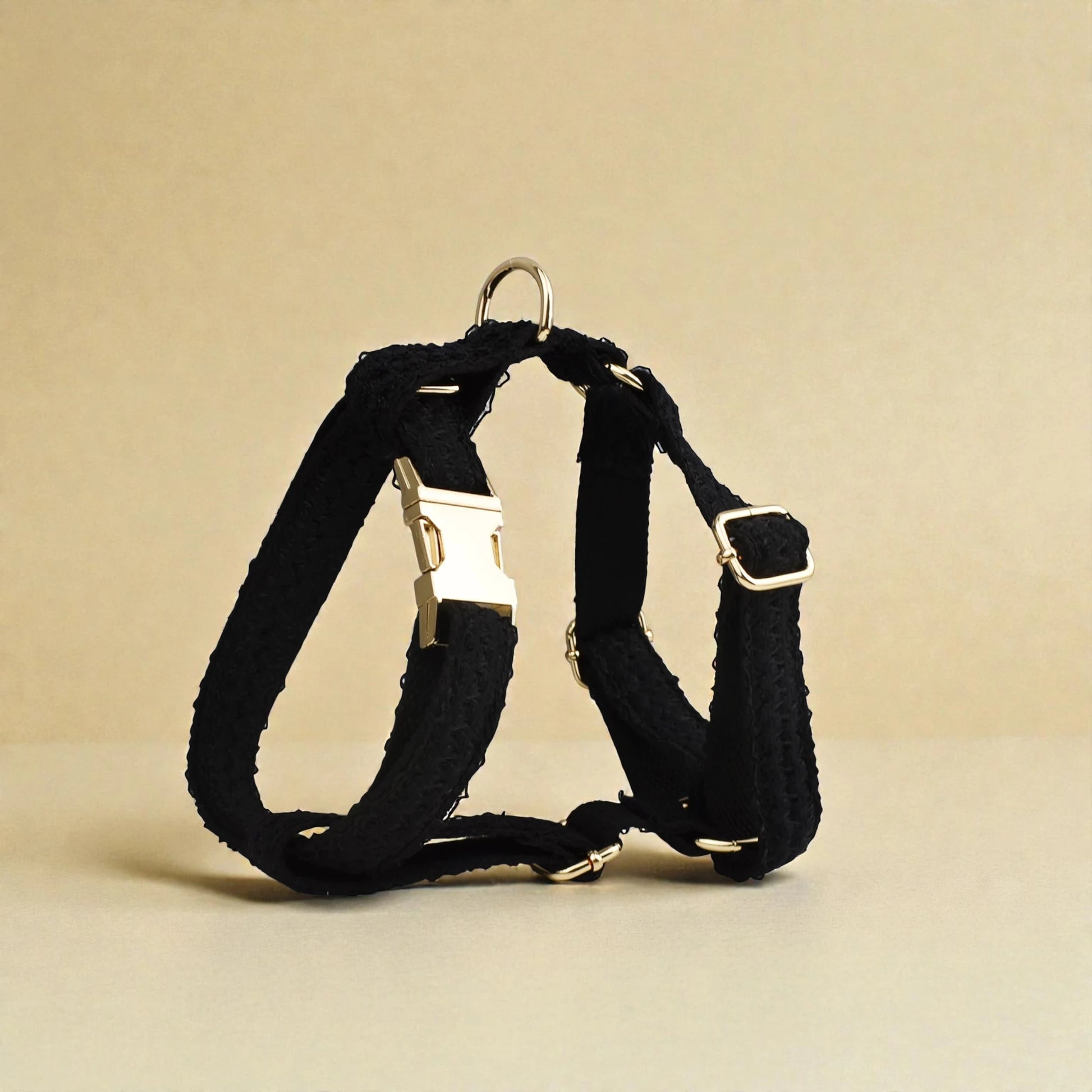 Black lace dog harness with gold hardware on a beige background