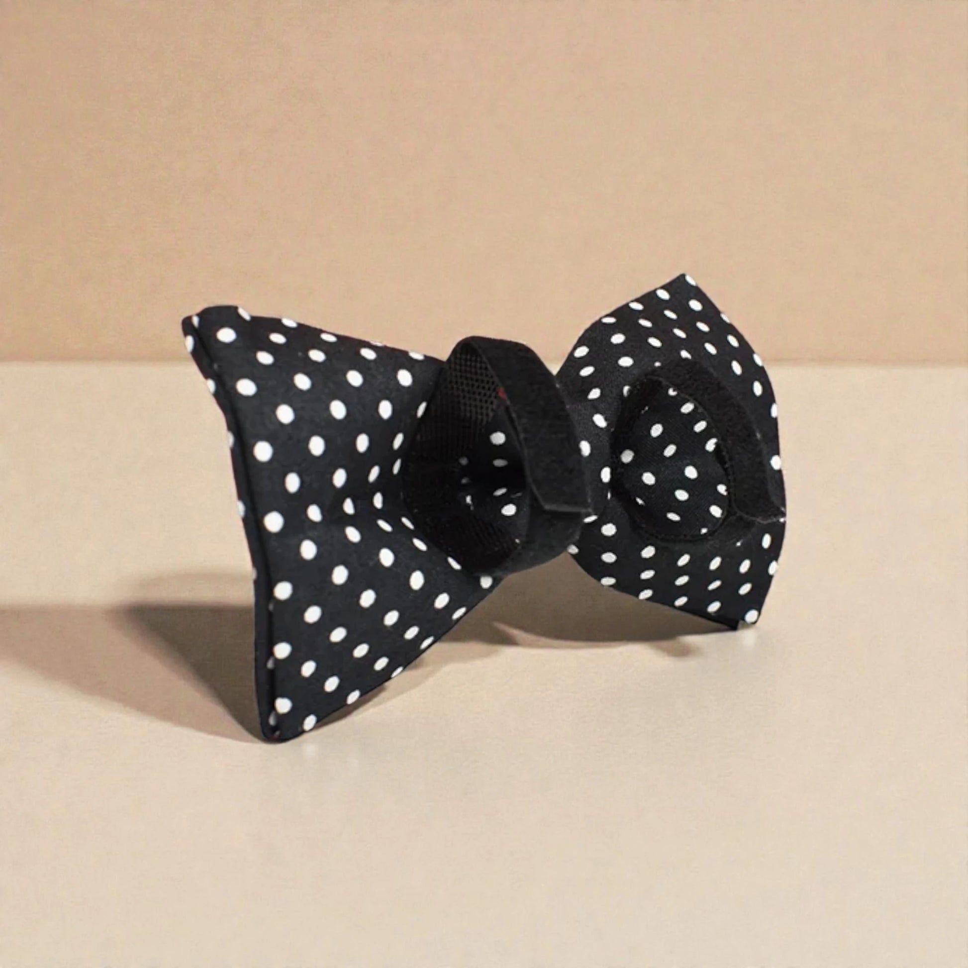Black detachable dog bow tie with white polka dots on a beige background