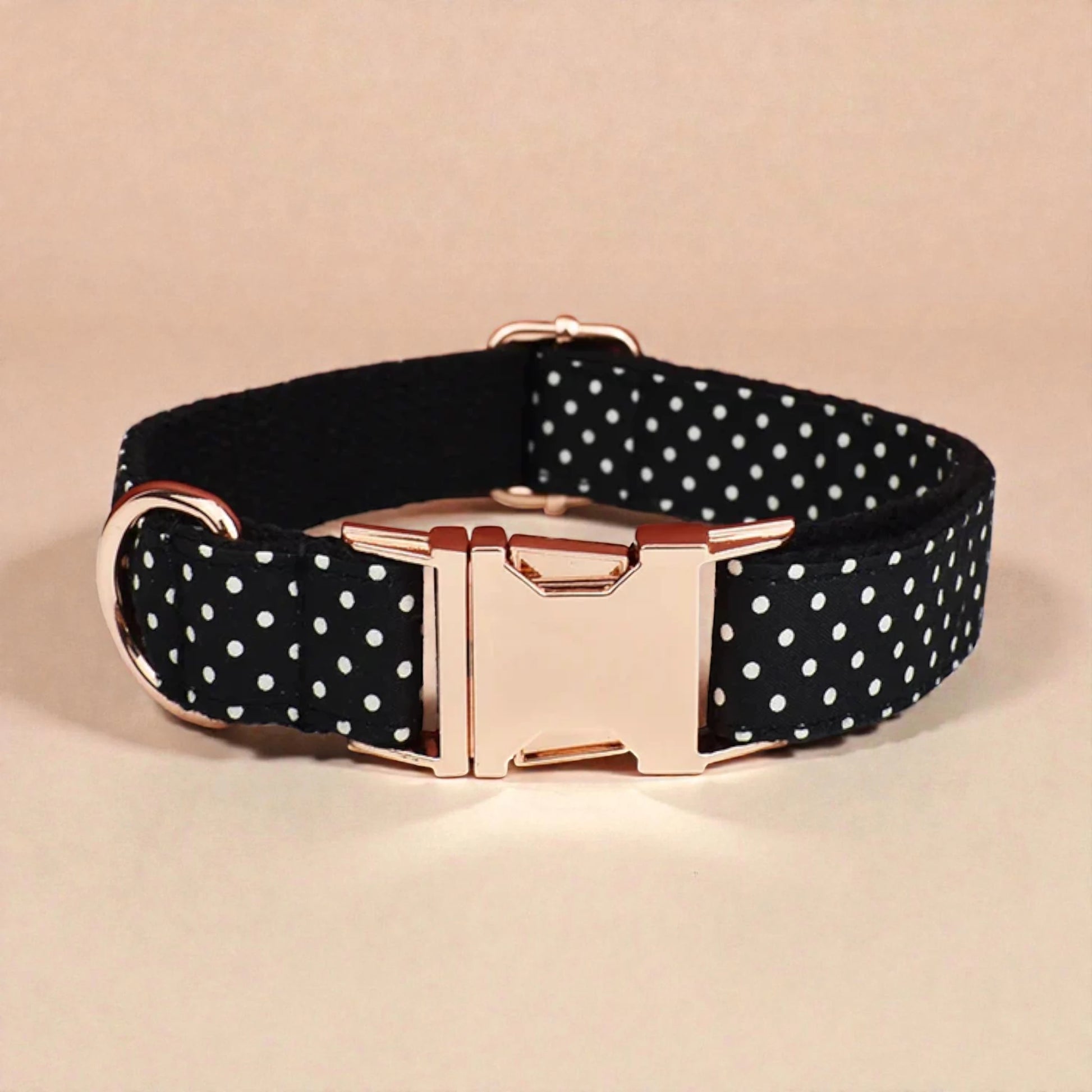 Black polka dot dog collar with gold buckle on a beige background