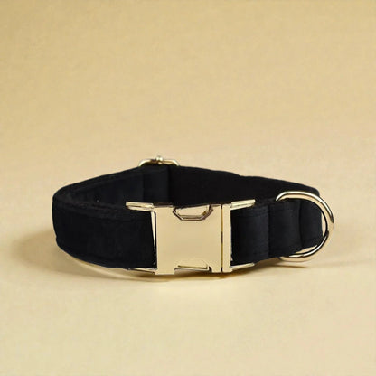 Black dog collar with a gold buckle on a beige background