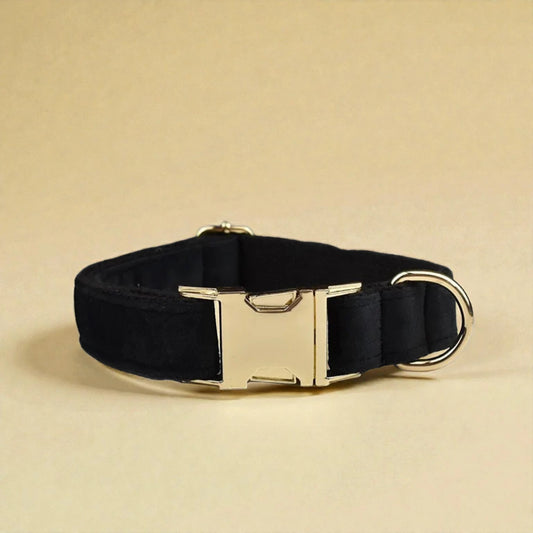 Black dog collar with a gold buckle on a beige background