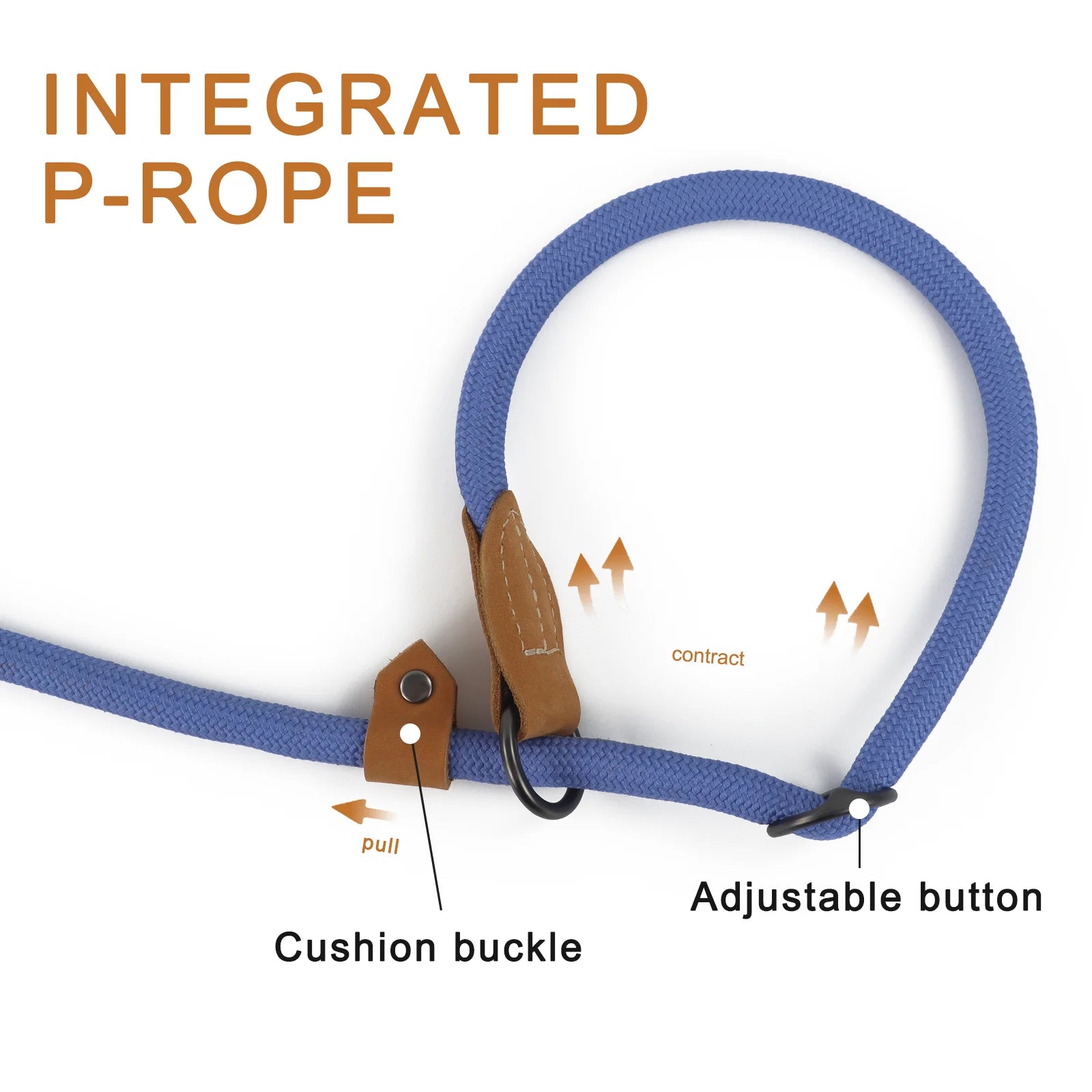 Dog leash with integrated P-rope, cushion buckle, and adjustable button on a white background.