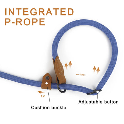 Dog leash with integrated P-rope, cushion buckle, and adjustable button on a white background.