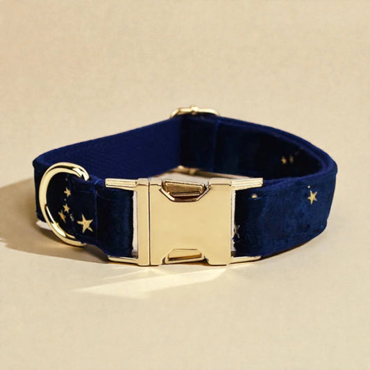 Navy blue velvet dog collar with gold hardware on a beige background