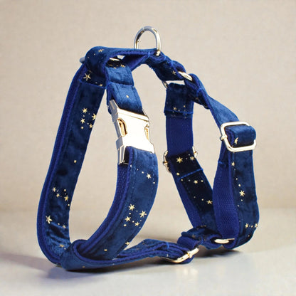 Blue dog harness with star pattern on a beige background