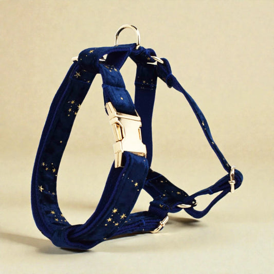 Navy blue dog harness with gold star pattern on a beige background