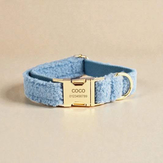 Blue dog collar with gold hardware on a beige background