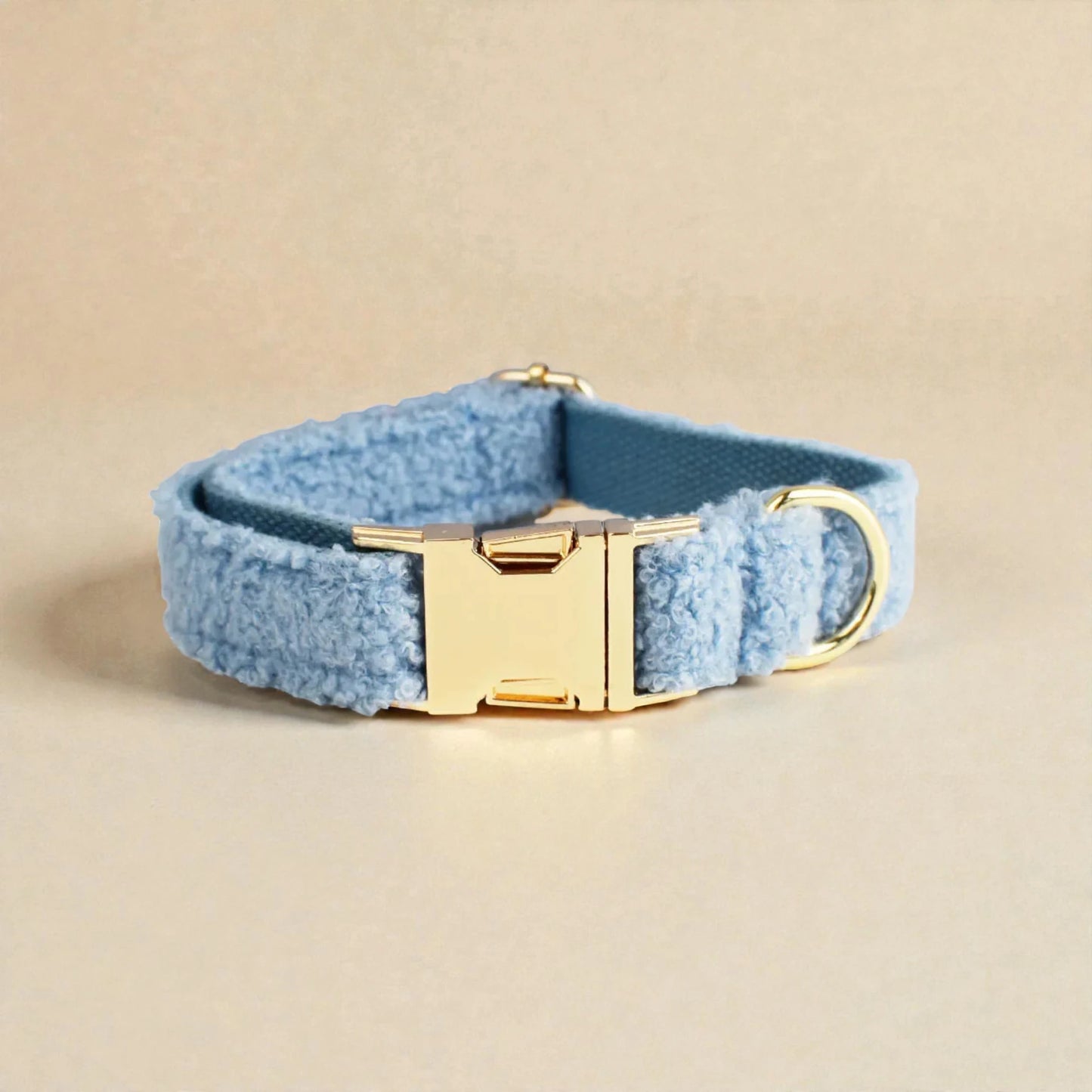 Blue dog collar with gold buckle on a beige background