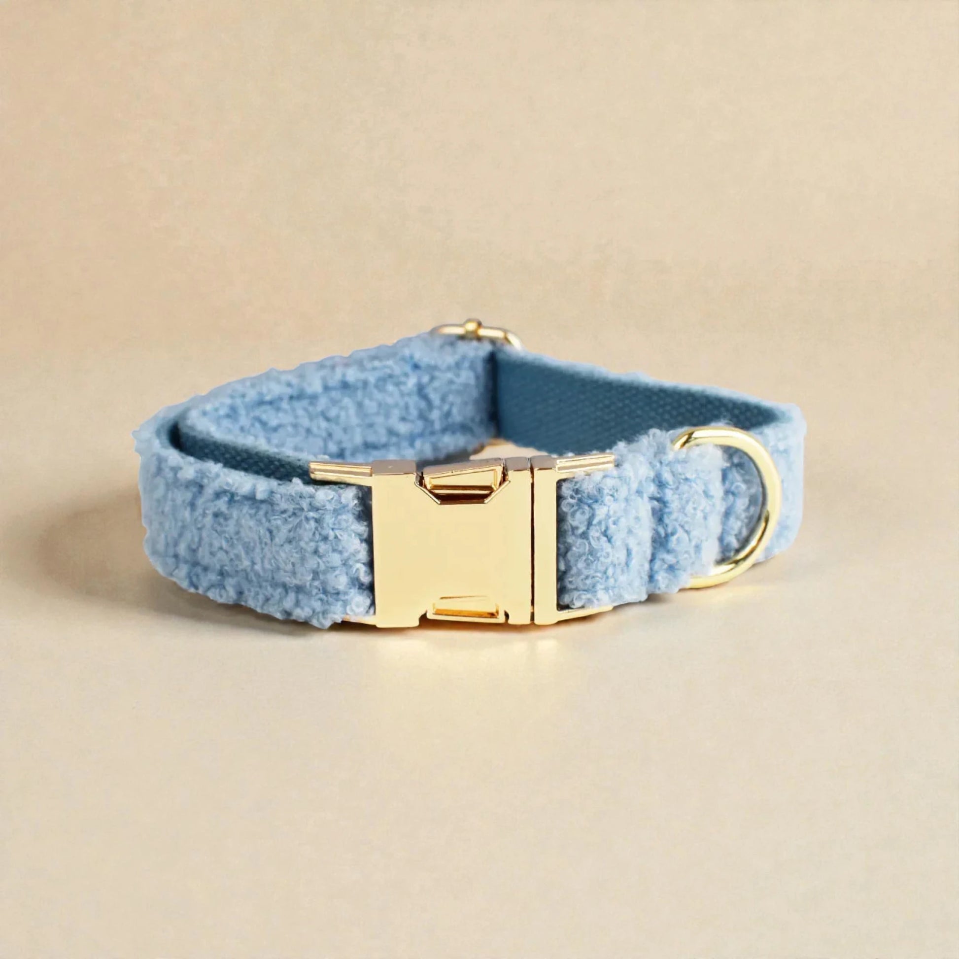 Blue dog collar with gold buckle on a beige background
