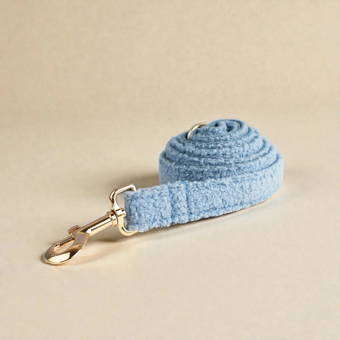 Light blue dog lead with gold clip on a beige background