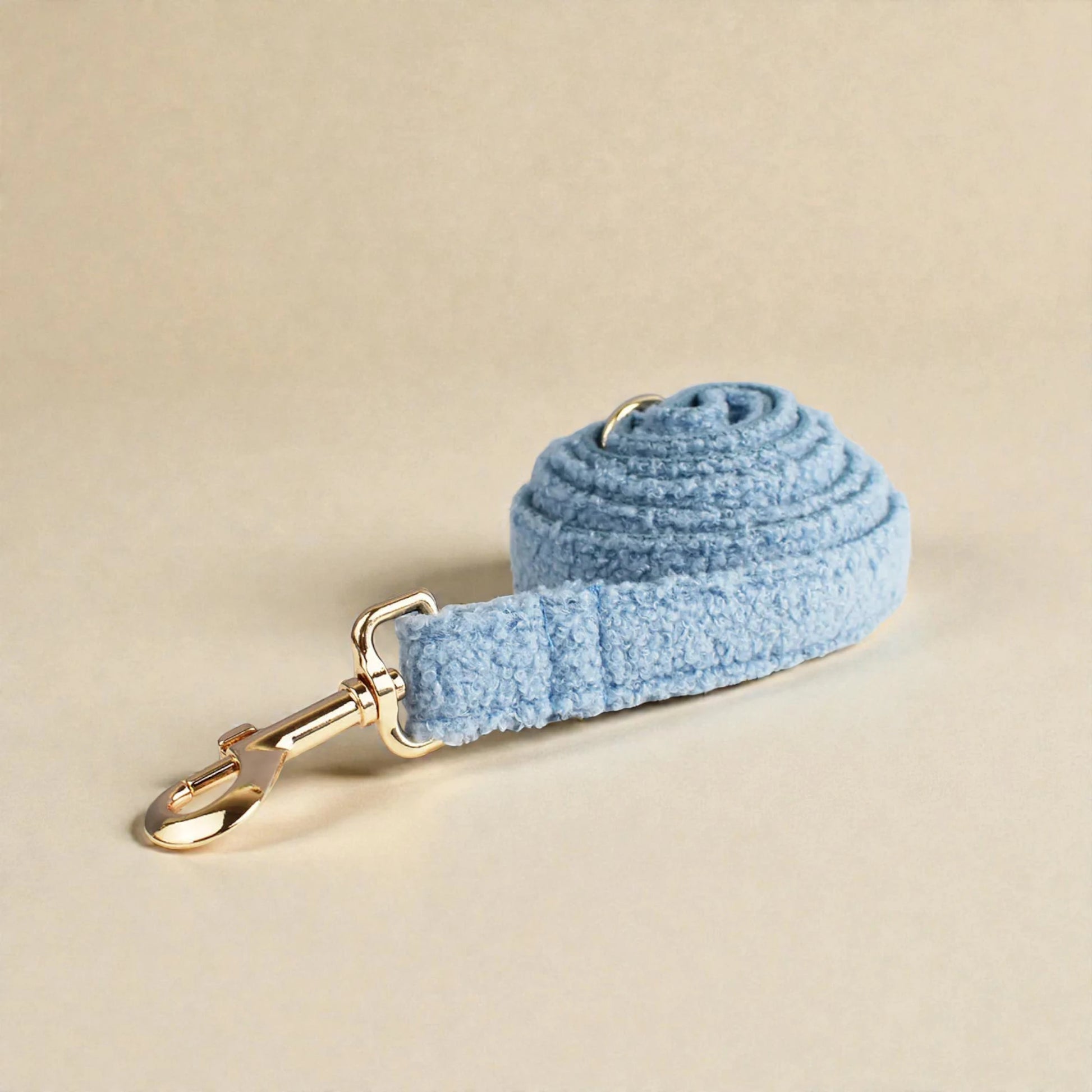 Light blue dog lead with gold clip on a beige background