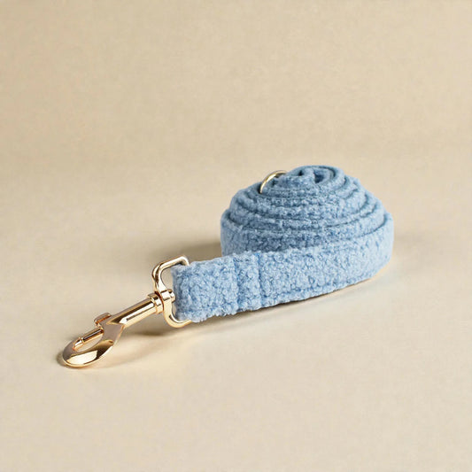 Light blue dog lead with gold clip on a beige background