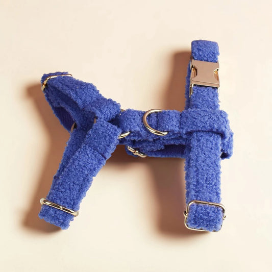 Blue dog harness with gold hardware on a beige background