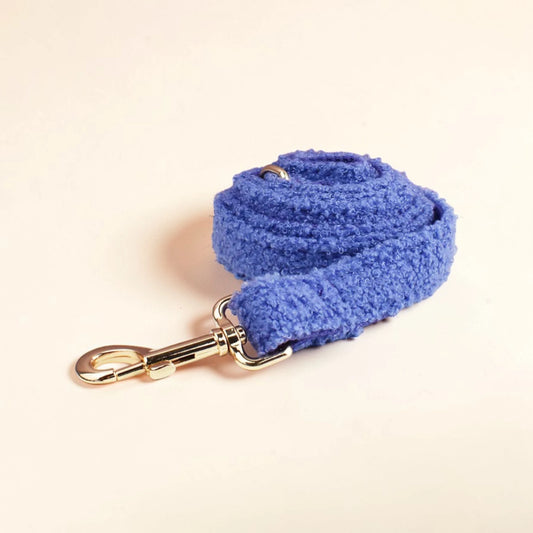 Blue dog lead with a gold clip on a beige background