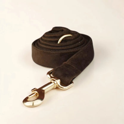 Brown velvet dog lead with gold clip on a beige background