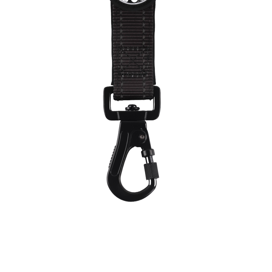 Close-up of a black carabiner attached to a black dog lead.