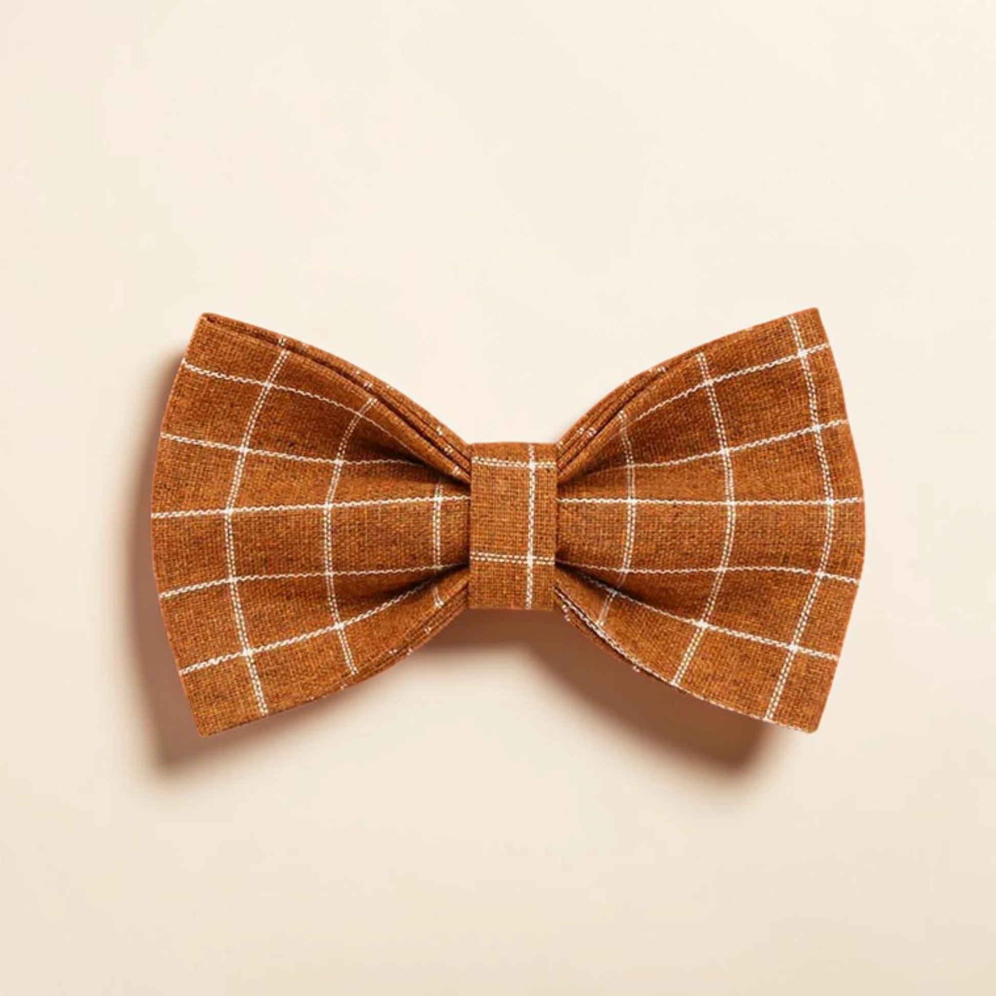 Brown check dog bow tie on a beige background